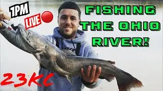 Fishing With Adam Sandler ! *BDAY* #Fishing #Catfish #RiverMonsters #FYP #Clips #Shorts #Catfishing