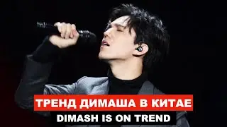 Димаш нарасхват / Китай 2021 - 
