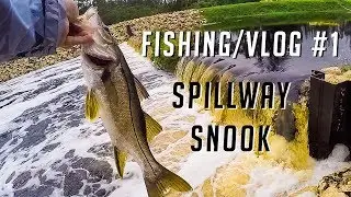 Spillway SNOOK ~ Fishing VLOG