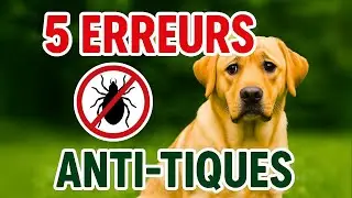ANTI-TIQUES naturels 🐕 : 5 ERREURS &agrave; &eacute;viter ❌