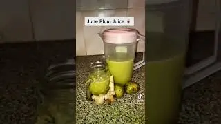 Homemade June Plum Juice 🥤 #Shorts
