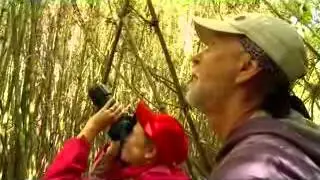 What Remarkable Rwanda offers tourists