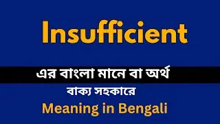 Insufficient Meaning in Bengali /Insufficient শব্দের বাংলা ভাষায় অর্থ অথবা মানে কি