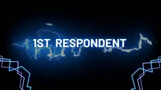 Interviews with 3 Professional Ir's