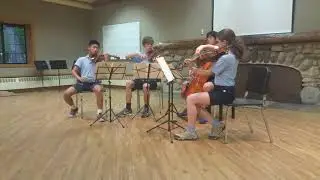 Haydn Quartet Op 64 No 1 mvmt 1