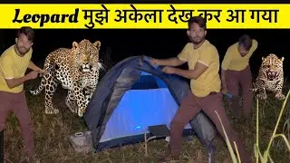 Solo Night Camping in Jungle | Camping with a Roaring Leopard | campingin india #camping #leopard