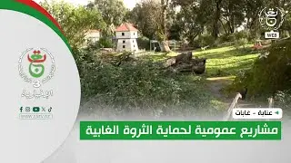 عنابة - غابات | مشاريع عمومية لحماية الثروة الغابية