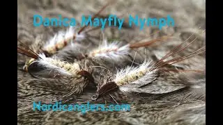 Fly Tying instruction on how to tie the Danice mayfly nymph