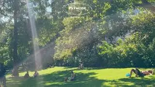 아무한테 방해받고 싶지 않을 때 듣는 팝송🎧/ 혼자 있고 싶을때 듣는 감성 팝송🎵/ 조용하지만 축축 처지는 건 싫어!🎶 느낌좋은 감성 팝송