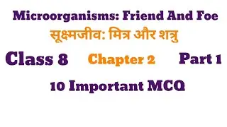 Microorganisms Friend And Foe Class 8 important MCQ,सूक्ष्मजीव मित्र और शत्रु कक्षा 8