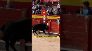 ‼️Toro destroza el burladero de la plaza