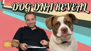 I DNA Tested My Dog | The Daniel Wargo Project [S1:E16]