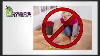 Pet Urine Stain & Odor Enzymatic Cleaner - Cat & Dog Stain Remover & Enzyme Urine Eliminator