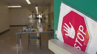 У 6-летнего ребёнка, застрелившего учителя, есть история насилия | Banfield