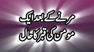How Human Beings Can Be Comfortable In The Grave | Hadith | Hadees Sahi |  مومن کی قبر کا حال