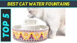 Top 5 Best Cat Water Fountains 2024