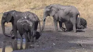 Dust is fun but mud is better