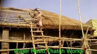 Thatch Roof