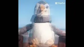 Pinvin 🐧