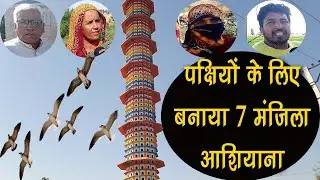 पक्षियों के लिए बनाया 7 मंजिला घर |Kaithal Breaking Tv|