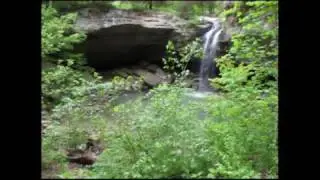 Bork's Fall - Ferne Clyffe State Park