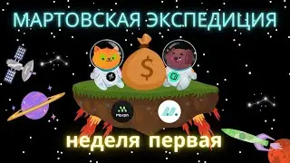 Мартовская экспедиция Galxe. SPACE ID, Morph, Moso