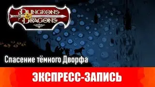 Dungeons & Dragons. Эпизоды 6-7. Спасение тёмного Дворфа. [Экспресс-запись]