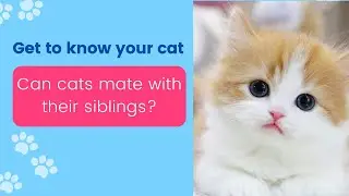 can cats mate with their siblings