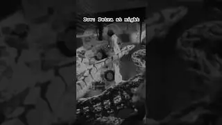 Petra at night: #snake #funny #cute #animal #fyp #trend #trending #lol  #pet #animal #shorts