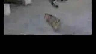 360 inward kickflip