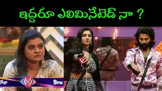Vishnu Priya And Prithvi Both ARE Eliminated? | Bigg Boss 8 Telugu | JD Updates