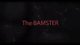The BAMSTER: Portable Bluetooth speaker from Teufel Audio