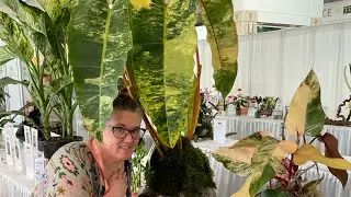 Field Trip! The TPIE (Tropical Plant International Expo) in Tampa - a plant lovers dream!