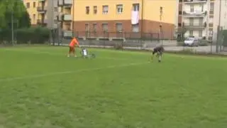 Rifacimento strisce campo
