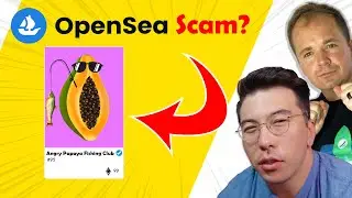 Data Scientists VS NFT Scam