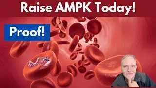 6 естественных способов повысить AMPK!