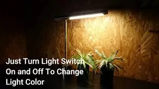 Cool, Warm, Neutral White All In One Desk Lamp I Different Light Color For Different Moods