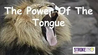 Death & Life Are In The Power Of The Tongue