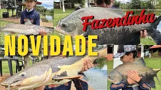 NOVIDADE - Pesqueiro NOVO no FISHINGTUR NA TV 1131