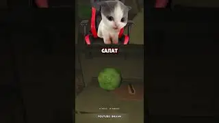ВИЛЛИ ОФИГЕННЫЙ ПОВАР🤣 #shorts