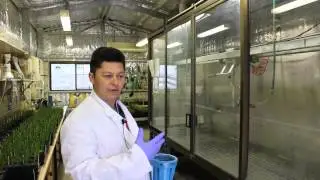 Understanding how herbicides work through controlled trial work