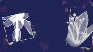 APQ D3 FinalComp WithMusic Sep3