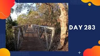 Project 365 - Day 283 // Mt Gravatt Mountain Adventure