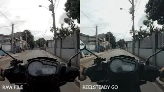 Reelsteady Go