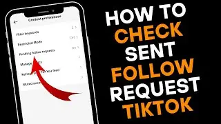 How to See Sent Follow Requests on TikTok (2025) | Pending Follow Requests on TikTok