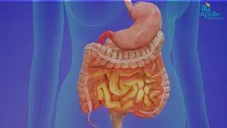 What Is ERCP? Diagnosis & Treatment Explained | Dr. Karthik Natrajan | Apollo Hospitals