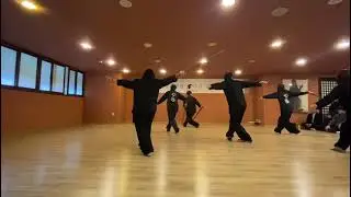 Chen Bing Taiji Academy Korea 🇰🇷 20th anniversary - sword 