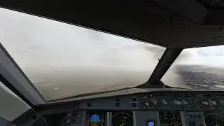 Landing at Christchurch 🇳🇿 | Fenix A320 | ChasePlane POV | MSFS 2024 | 4K