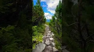 Пробираємось по гірських стежках #MountainAdventure #HikingTrails #NatureExploration #MountainTrek