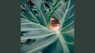 Fantastic Backdrops for Hidden Meditation